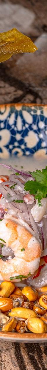 Ceviche de Pulpo