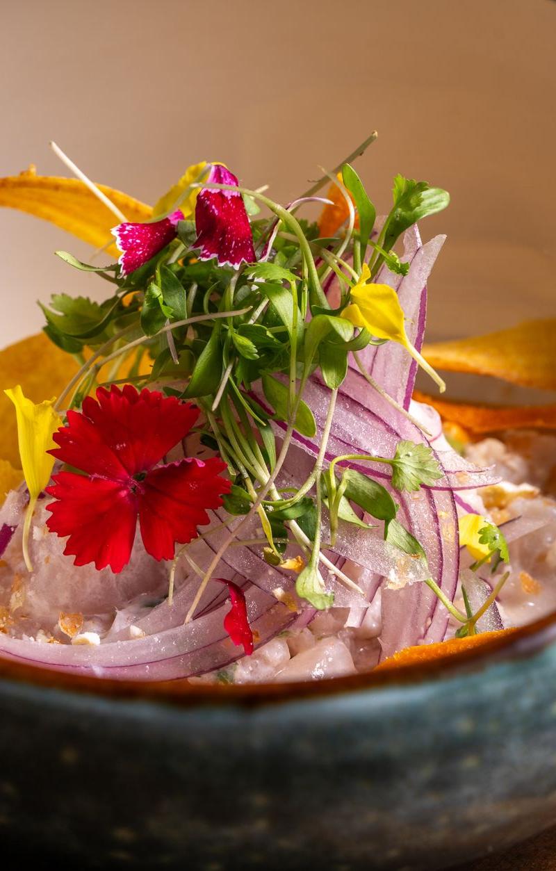 20-Min Ceviche with Crispy Plantain Chips