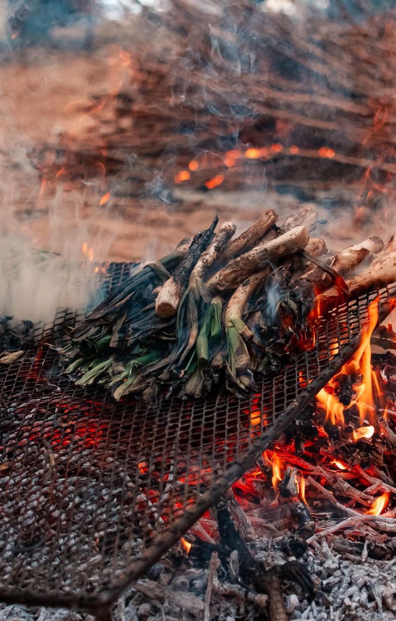 Charred Calçots with Romesco