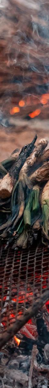 Charred Calçots with Romesco