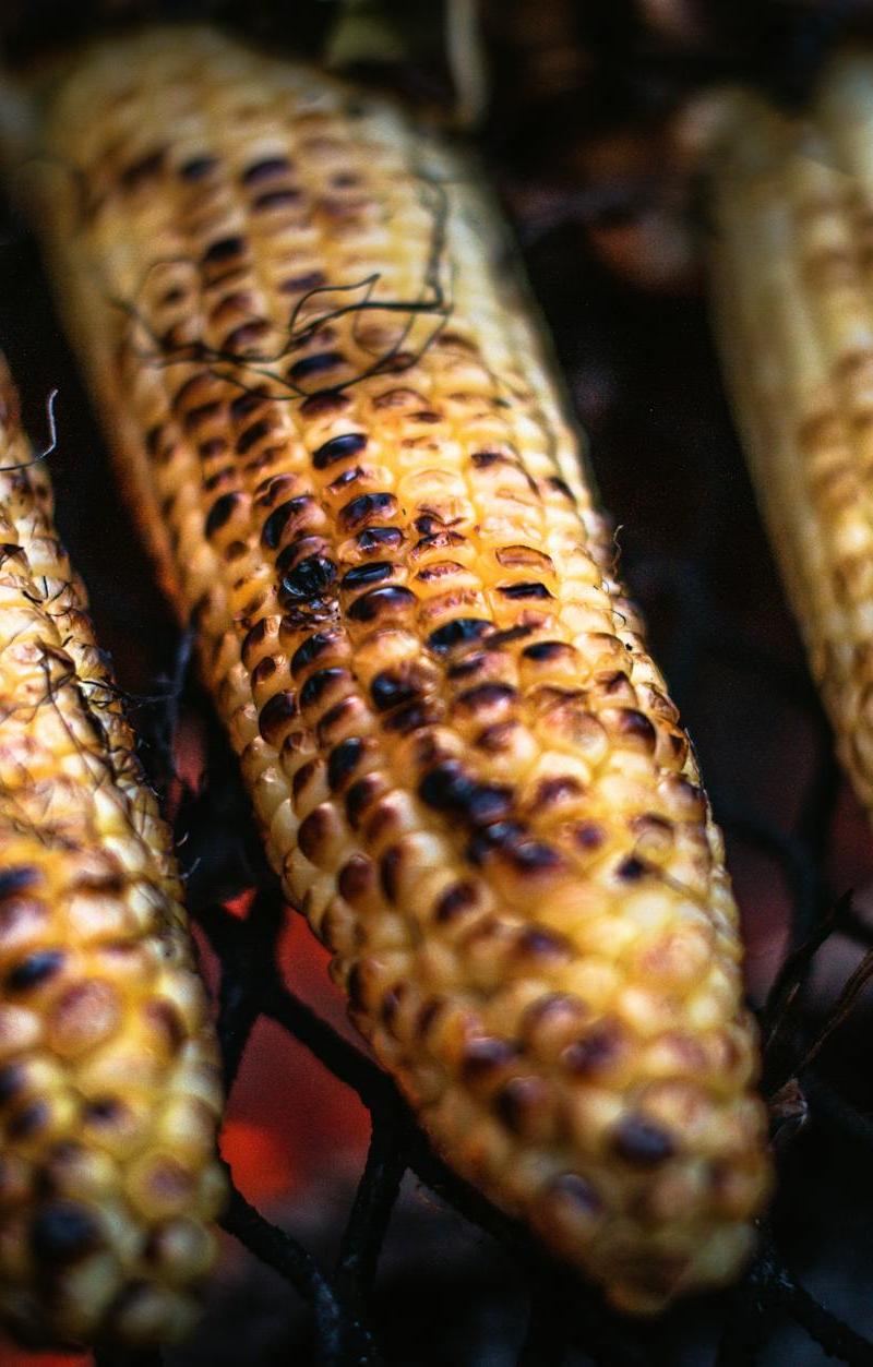 Charred Elote Street Corn