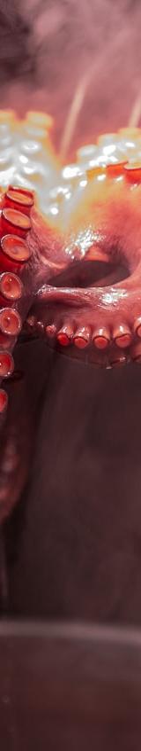20-Min Charred Octopus with Garlic Oil