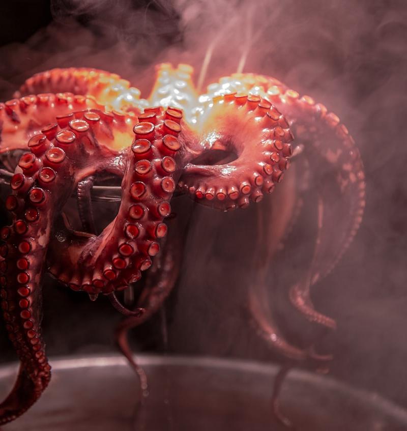 20-Min Charred Octopus with Garlic Oil