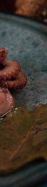 Charred Octopus Tentacles with Lemon