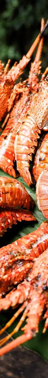 Charred Shrimp with Lemongrass Butter