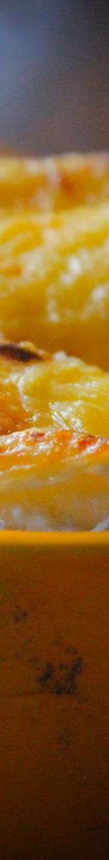 Cheesy Baked Squash Casserole