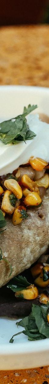 Cheesy Black Bean Tortilla Roll-Ups