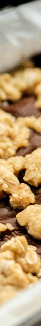Chewy Oatmeal Honey Bars