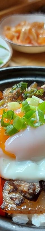 Chicken & Egg Donburi Bowl