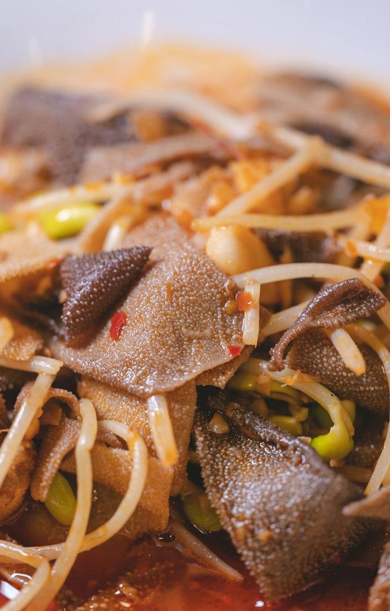Chili Oil Beef & Tendon Sichuan Bowl