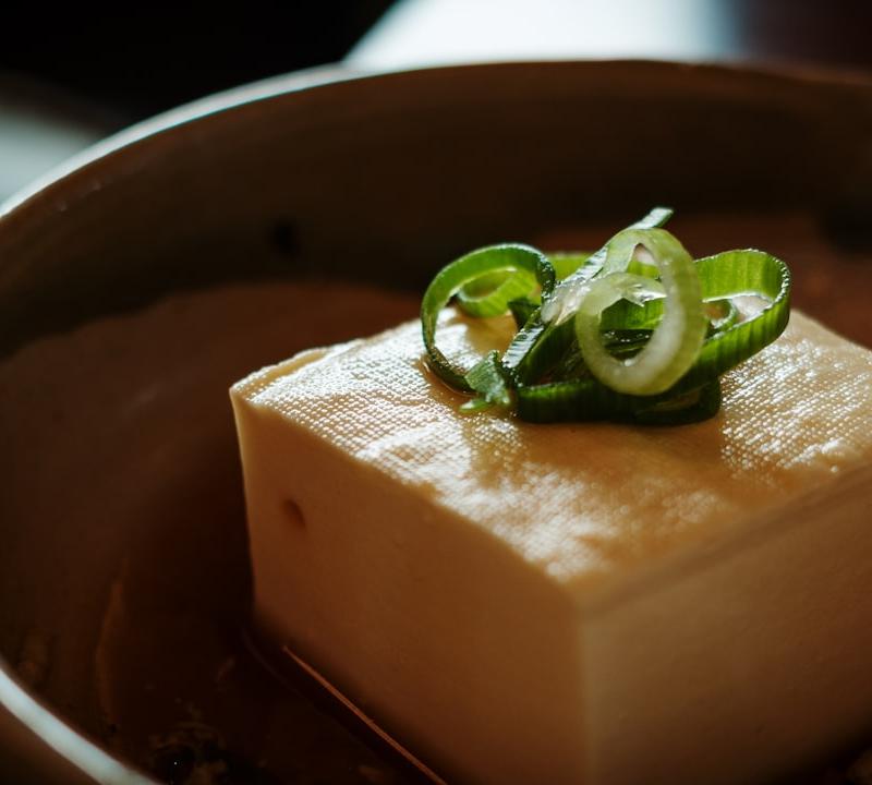 Chilled Tofu with Crispy Toppings