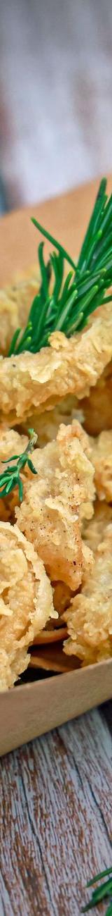 Spanish Crispy Baby Squid