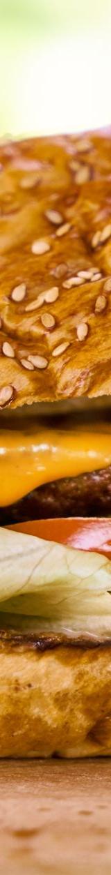 Classic Cheeseburger