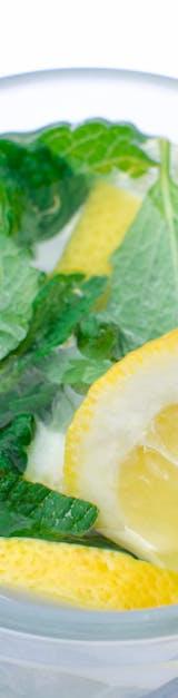Classic Mojito