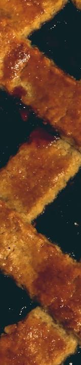 Classic Treacle Tart