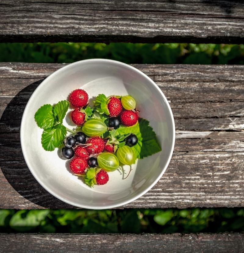 Colorful Fruit Salad with Honey Lime