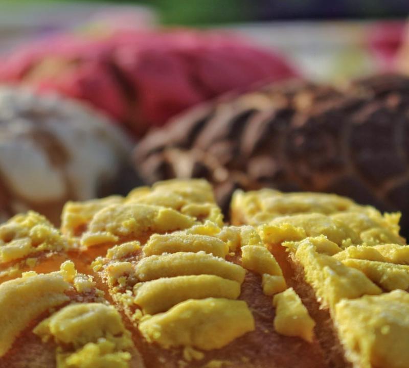 Conchas (Mexican Sweet Bread)