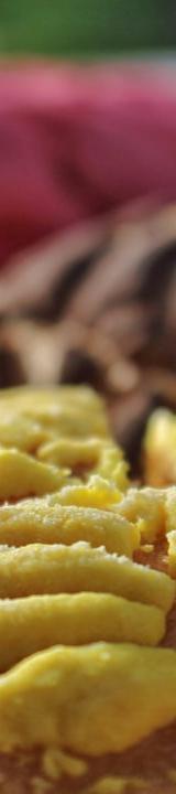 Conchas (Mexican Sweet Bread)