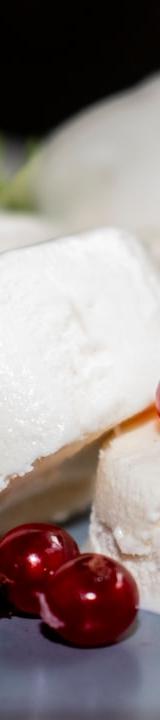 Cottage Cheese Ice Cream