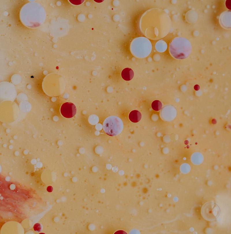 Cranberry Orange Yogurt Bark
