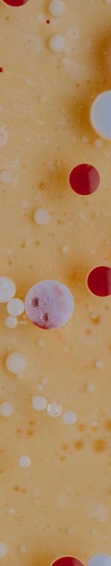 Cranberry Orange Yogurt Bark