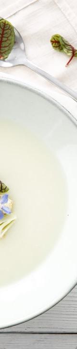 Cream of Celery Soup