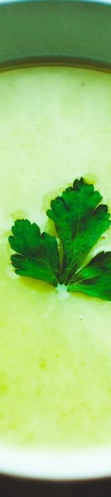 Creamy Celery Soup