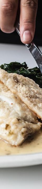 Creamy Chicken Fricassée