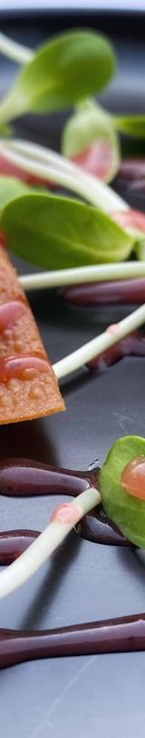 Crispy Ahi Tuna Tostada