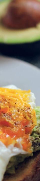 Crispy Avocado Toast with Fried Egg