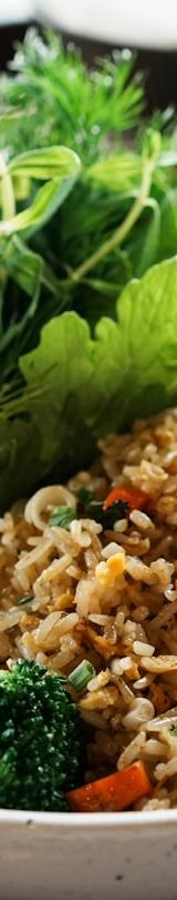 Crispy Beef Com Chien