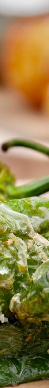 Crispy Blistered Piquant Peppers