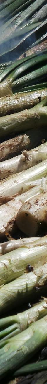 Crispy Calçots with Romesco
