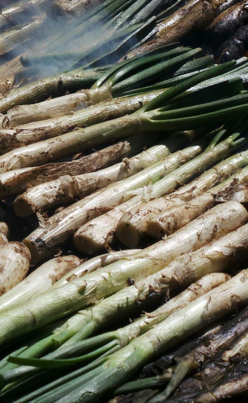 Crispy Calçots with Romesco