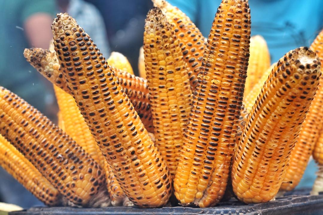 Crispy Charred Corn Ribs