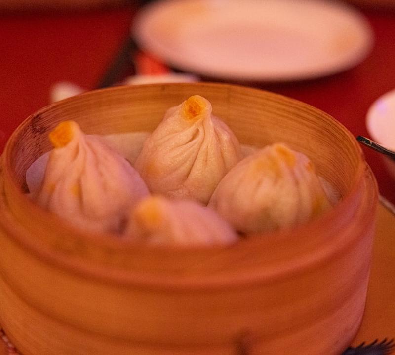 20-Min Crispy Chicken Dumplings