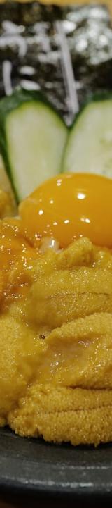 Crispy Chicken Teriyaki Donburi