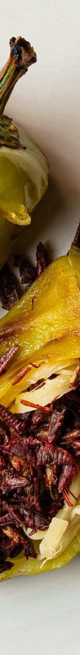 Crispy Chile Güero Relleno