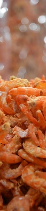 Crispy Ebi Senbei (Shrimp Crackers)