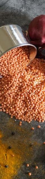 Crispy Fatira with Spiced Lentils