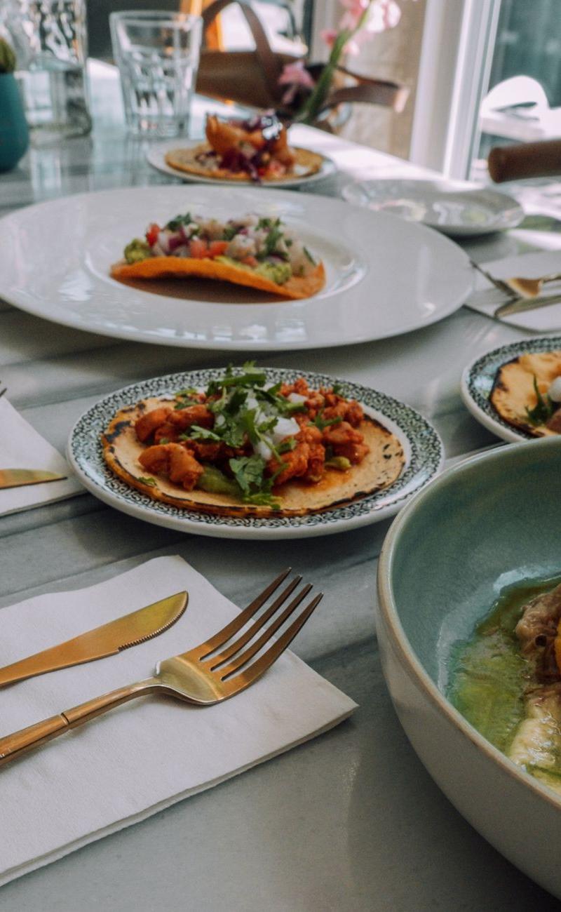 Crispy Fish Tacos & Cheese Quesadilla