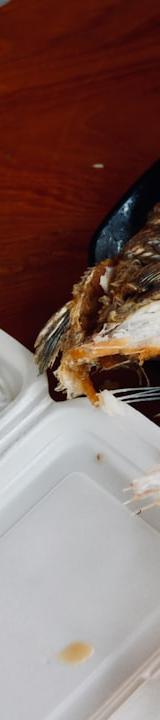 Crispy Fried Fish with Noodle Bowl