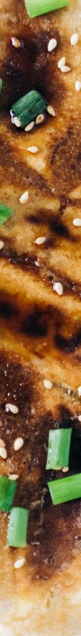 Crispy Pan-Fried Pork Gunmandu