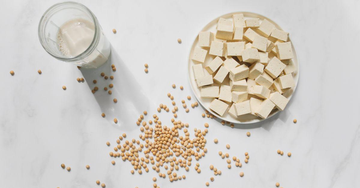Crispy Pan-Fried Tofu with Soy Sauce and Ginger