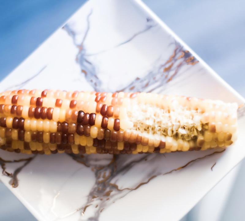 Crispy Parmesan Corn Ribs