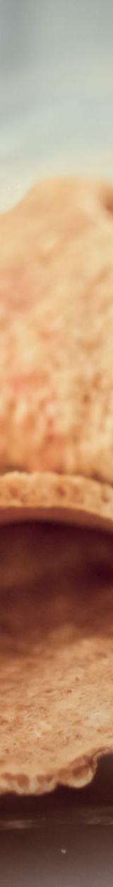Crispy Pork Scratchings