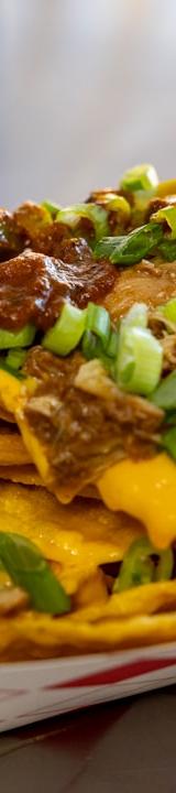 Crispy Pulled Pork Nachos