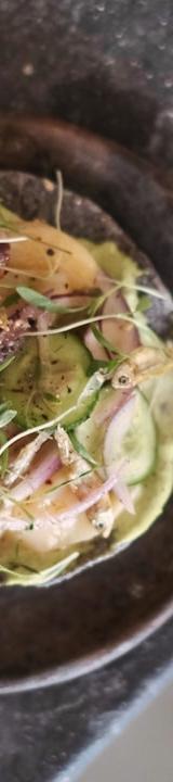 Crispy Shrimp & Avocado Tostada