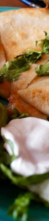 Crispy Skillet Chicken Quesadillas