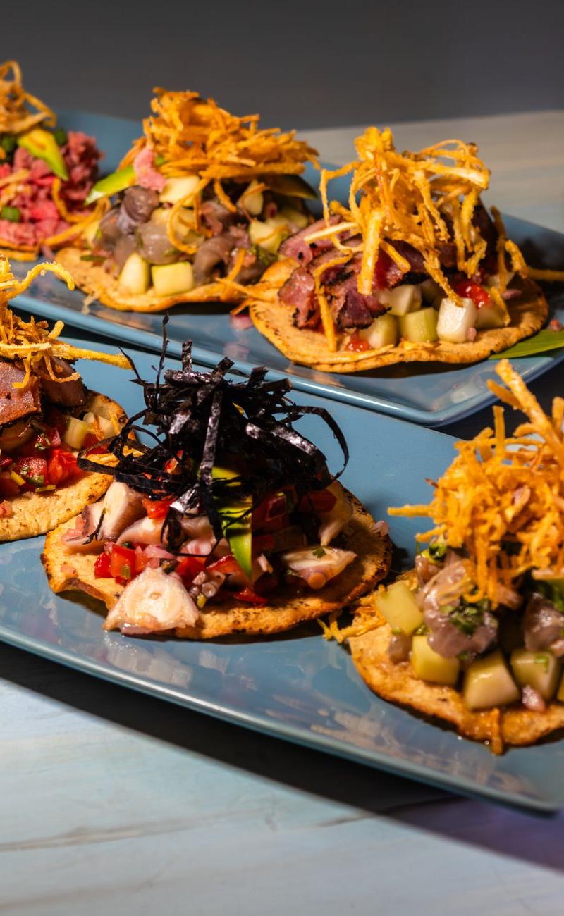 Crispy Tostadas with Quick Toppings